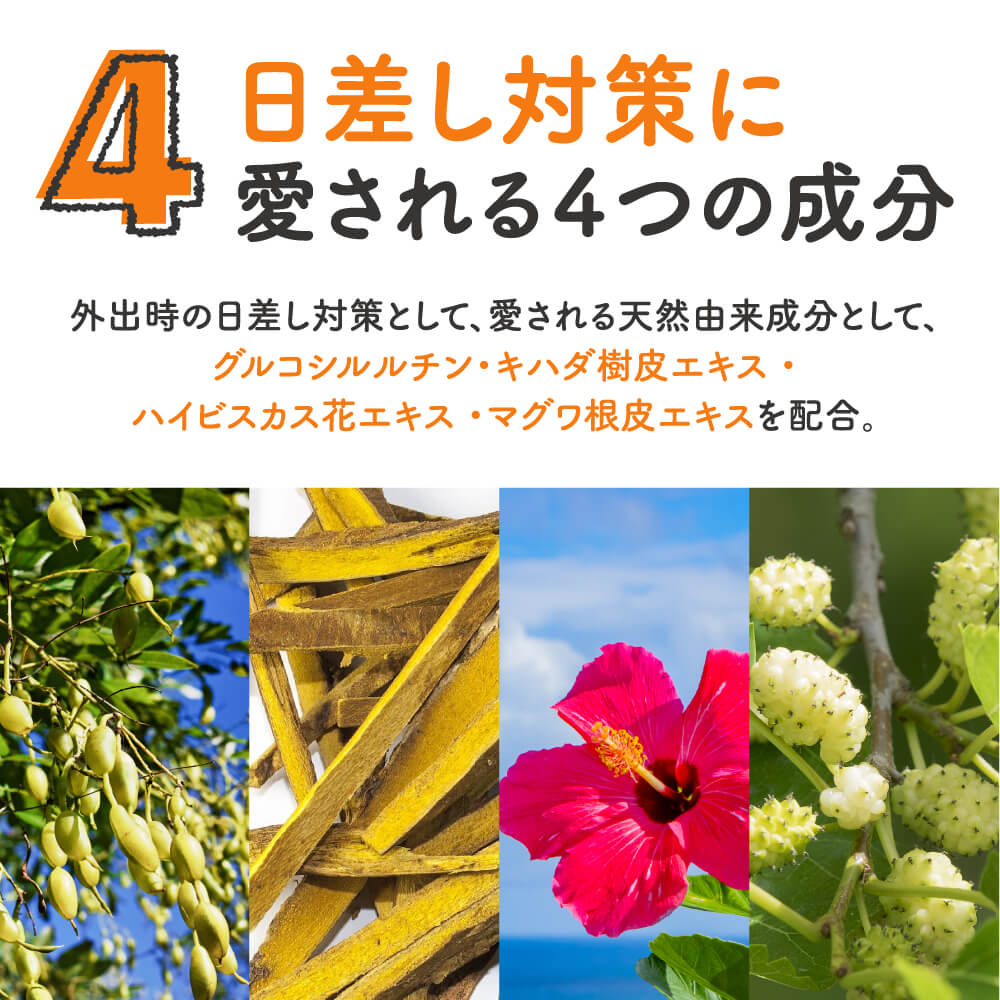 アウトドアミスト