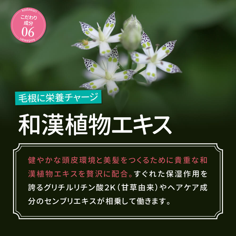 育毛シャンプー